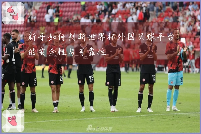 新手如何判断世界杯外围买球平台的安全性与可靠性