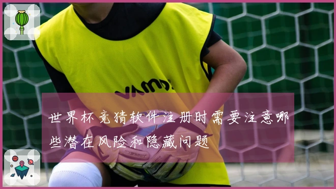 世界杯竞猜软件注册时需要注意哪些潜在风险和隐藏问题