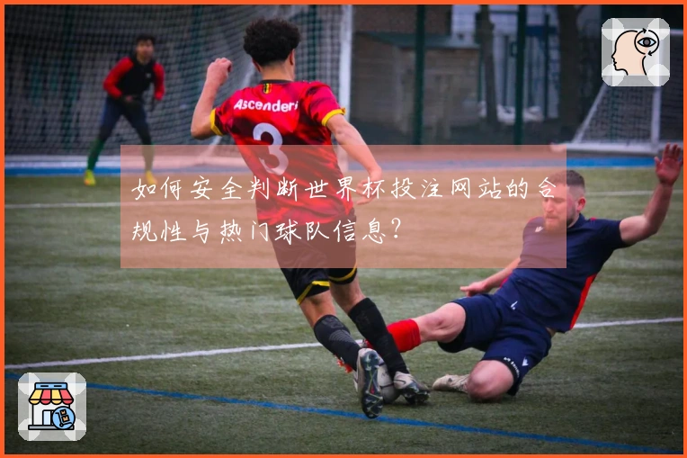 如何安全判断世界杯投注网站的合规性与热门球队信息？