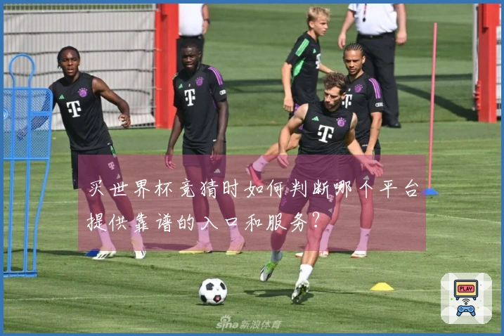 买世界杯竞猜时如何判断哪个平台提供靠谱的入口和服务?