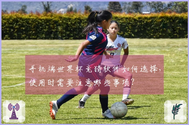 手机端世界杯竞猜软件如何选择，使用时需要注意哪些事项？