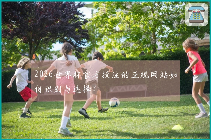2026世界杯官方投注的正规网站如何识别与选择？
