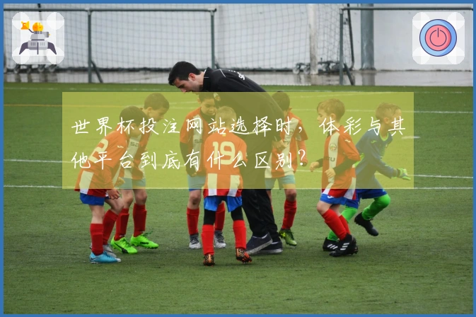 世界杯投注网站选择时，体彩与其他平台到底有什么区别？