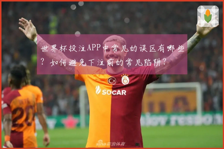 世界杯投注APP中常见的误区有哪些？如何避免下注前的常见陷阱？