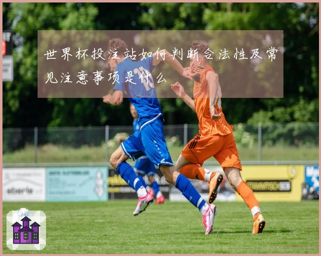 世界杯投注站如何判断合法性及常见注意事项是什么