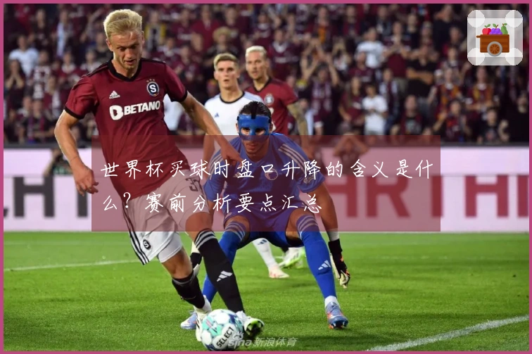 世界杯买球时盘口升降的含义是什么？赛前分析要点汇总
