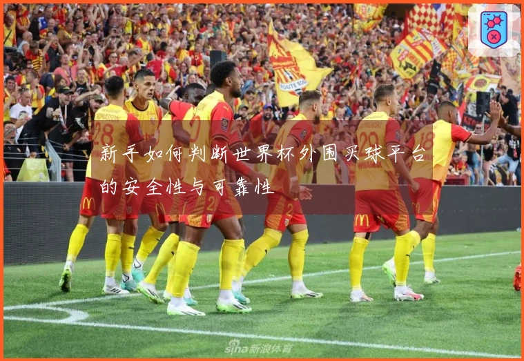 新手如何判断世界杯外围买球平台的安全性与可靠性