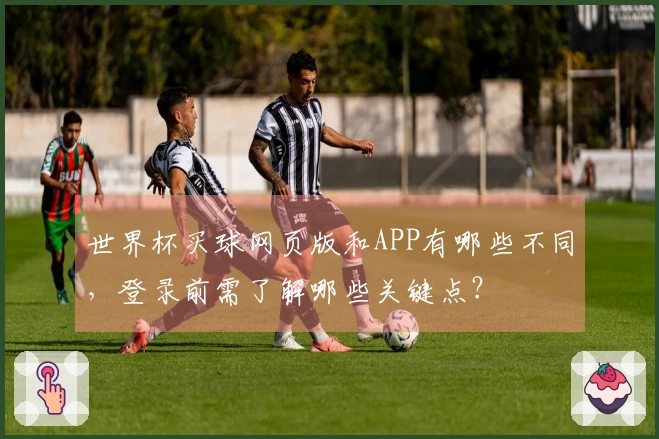 世界杯买球网页版和APP有哪些不同，登录前需了解哪些关键点？
