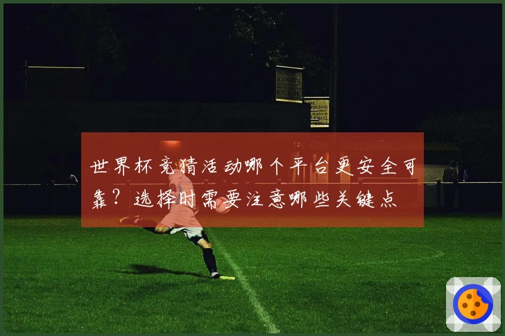 世界杯竞猜活动哪个平台更安全可靠？选择时需要注意哪些关键点