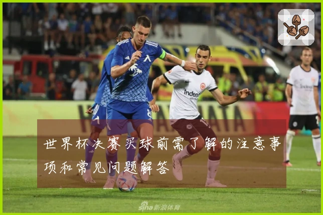 世界杯决赛买球前需了解的注意事项和常见问题解答