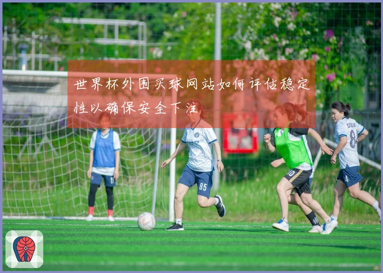 世界杯外围买球网站如何评估稳定性以确保安全下注
