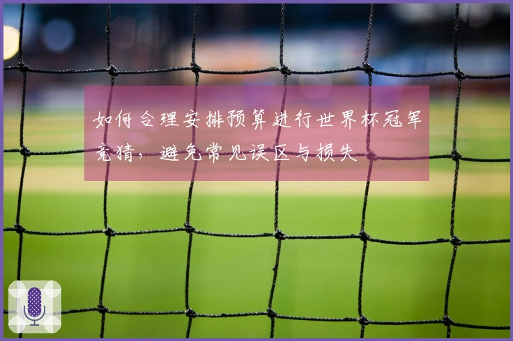 如何合理安排预算进行世界杯冠军竞猜，避免常见误区与损失