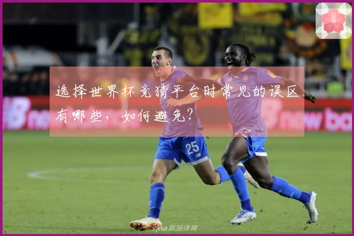 选择世界杯竞猜平台时常见的误区有哪些，如何避免？