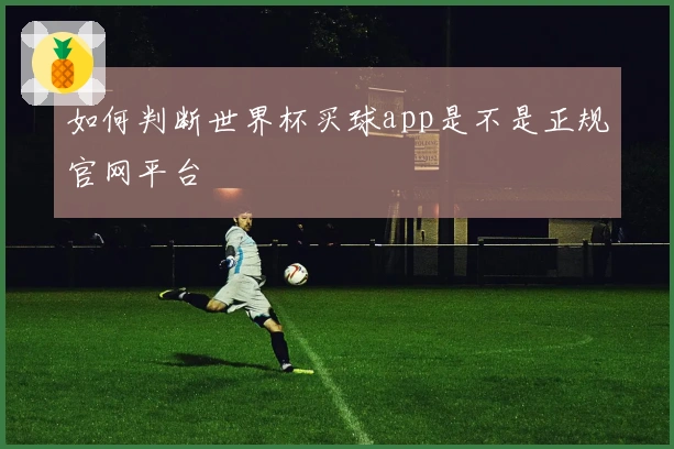 如何判断世界杯买球app是不是正规官网平台
