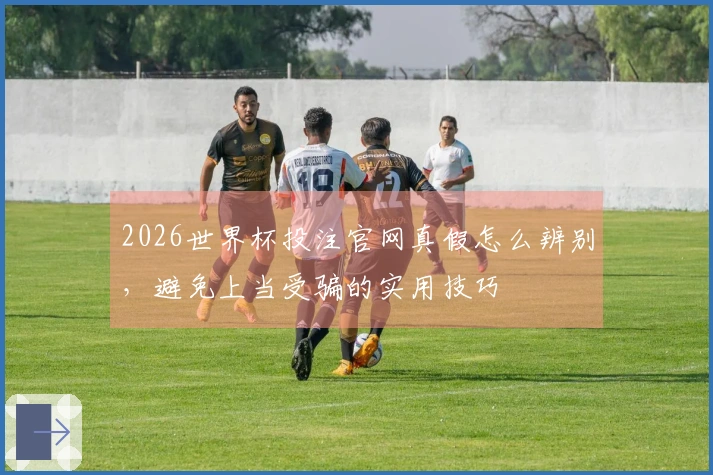 2026世界杯投注官网真假怎么辨别,避免上当受骗的实用技巧