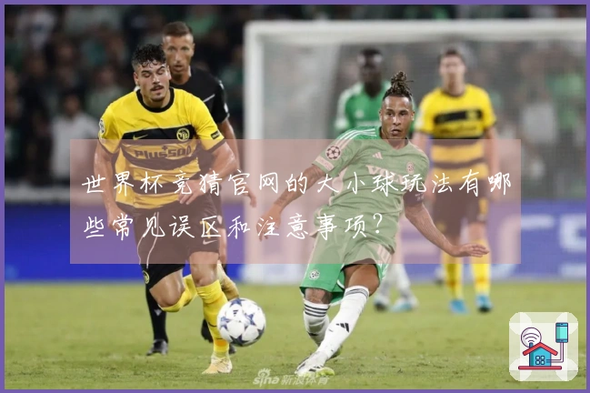 世界杯竞猜官网的大小球玩法有哪些常见误区和注意事项？
