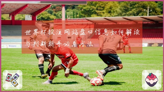 世界杯投注网站盘口信息如何解读与判断新手必看方法