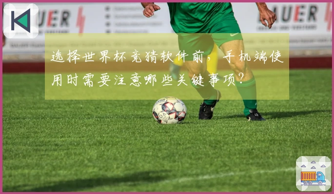 选择世界杯竞猜软件前,手机端使用时需要注意哪些关键事项?