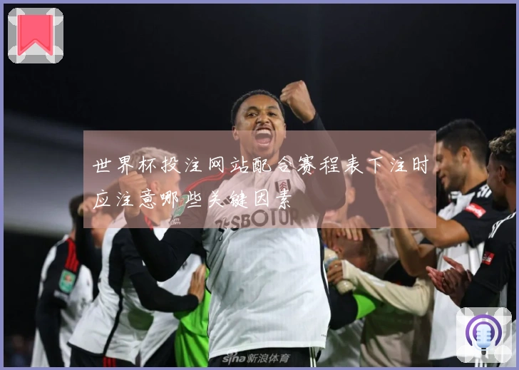 世界杯投注网站配合赛程表下注时应注意哪些关键因素