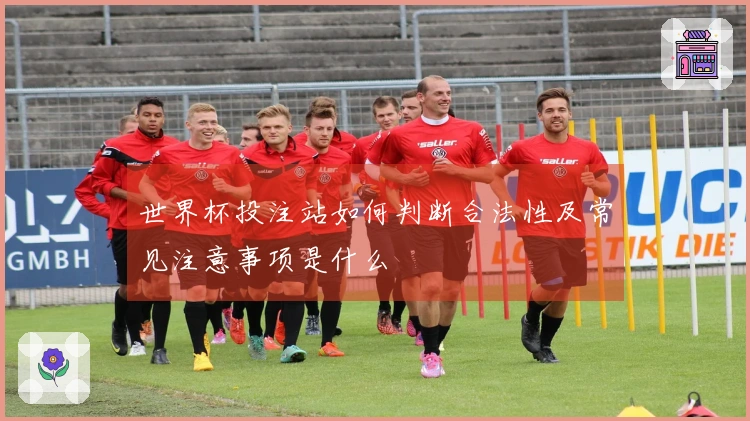 世界杯投注站如何判断合法性及常见注意事项是什么