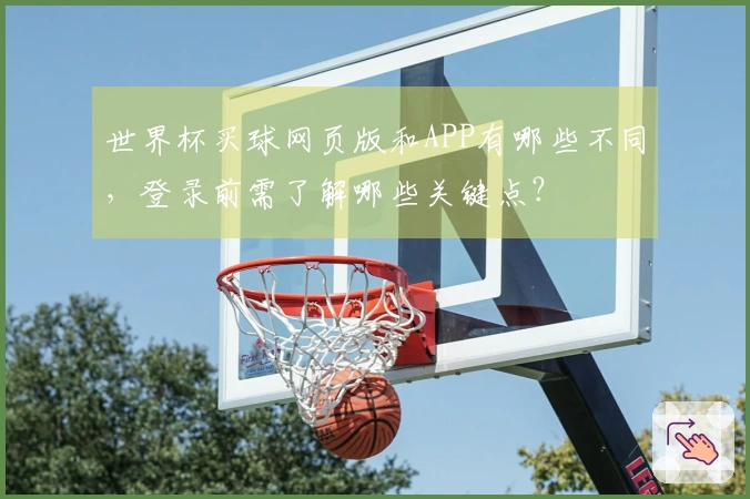 世界杯买球网页版和APP有哪些不同,登录前需了解哪些关键点?