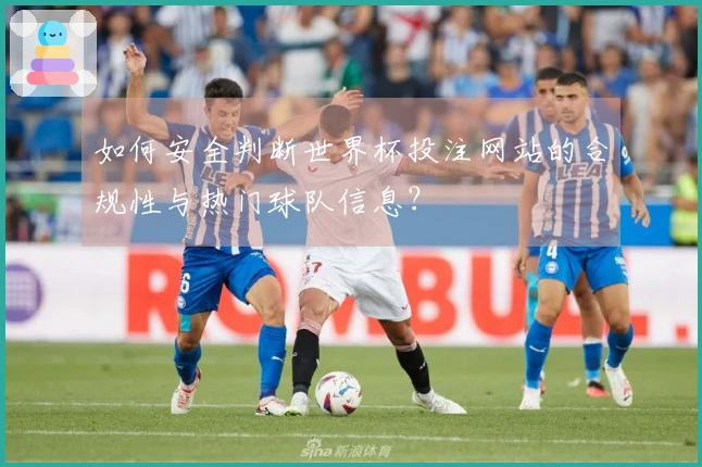 如何安全判断世界杯投注网站的合规性与热门球队信息？