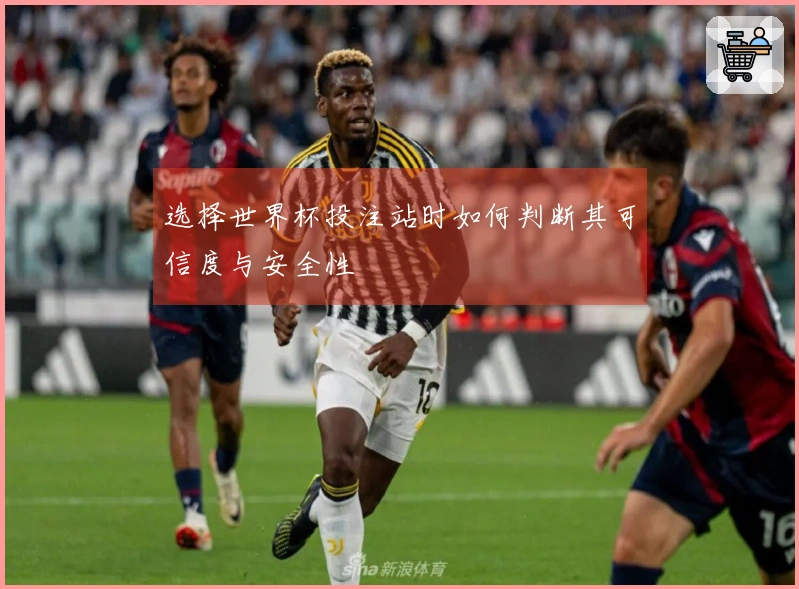 选择世界杯投注站时如何判断其可信度与安全性